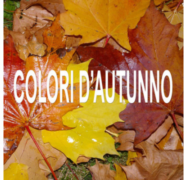 COLORI D'AUTUNNO